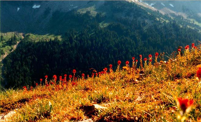 Pacific Crest Trail